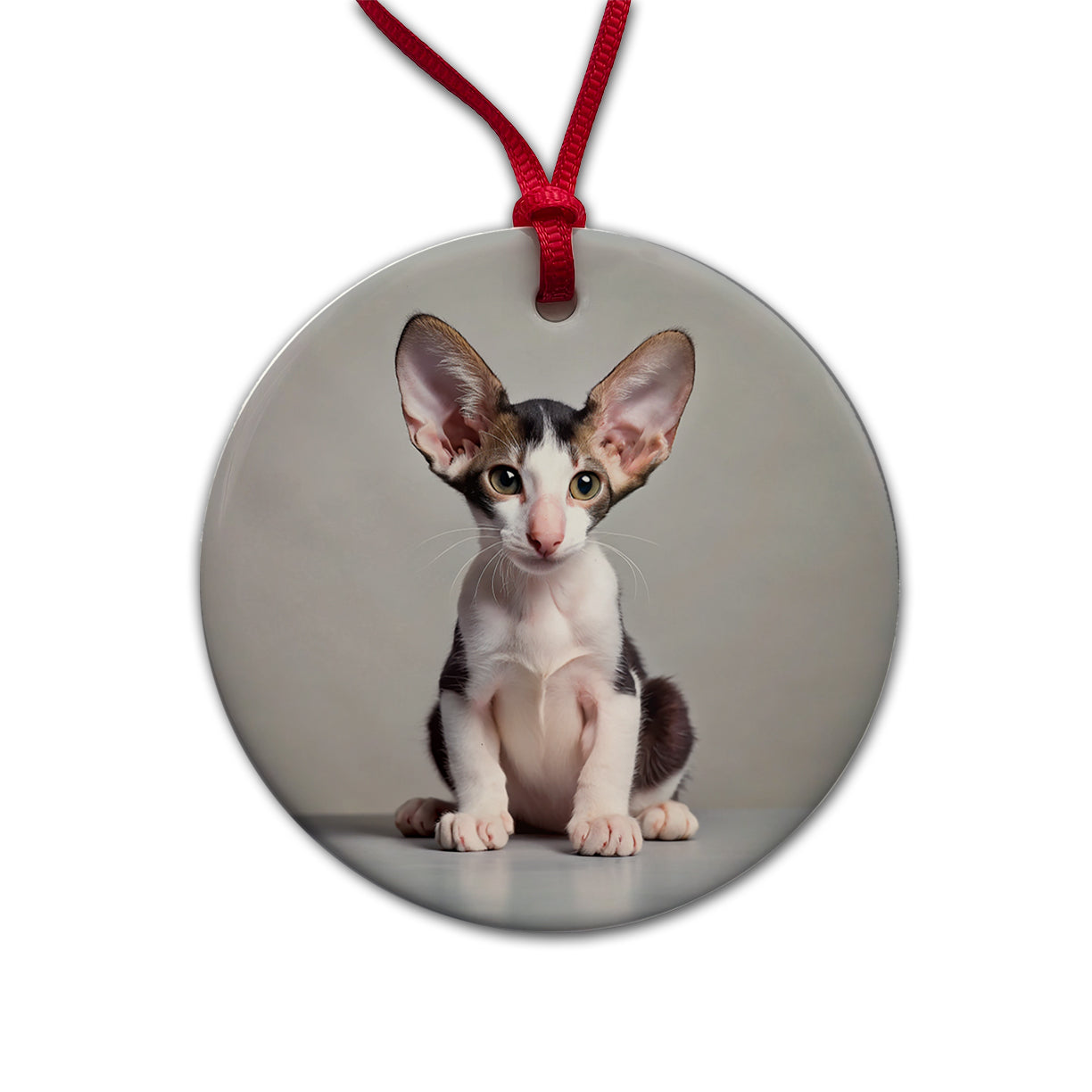 Oriental Shorthair Black White Cat Kitten Photo Round Ceramic Holiday Christmas Tree Ornament