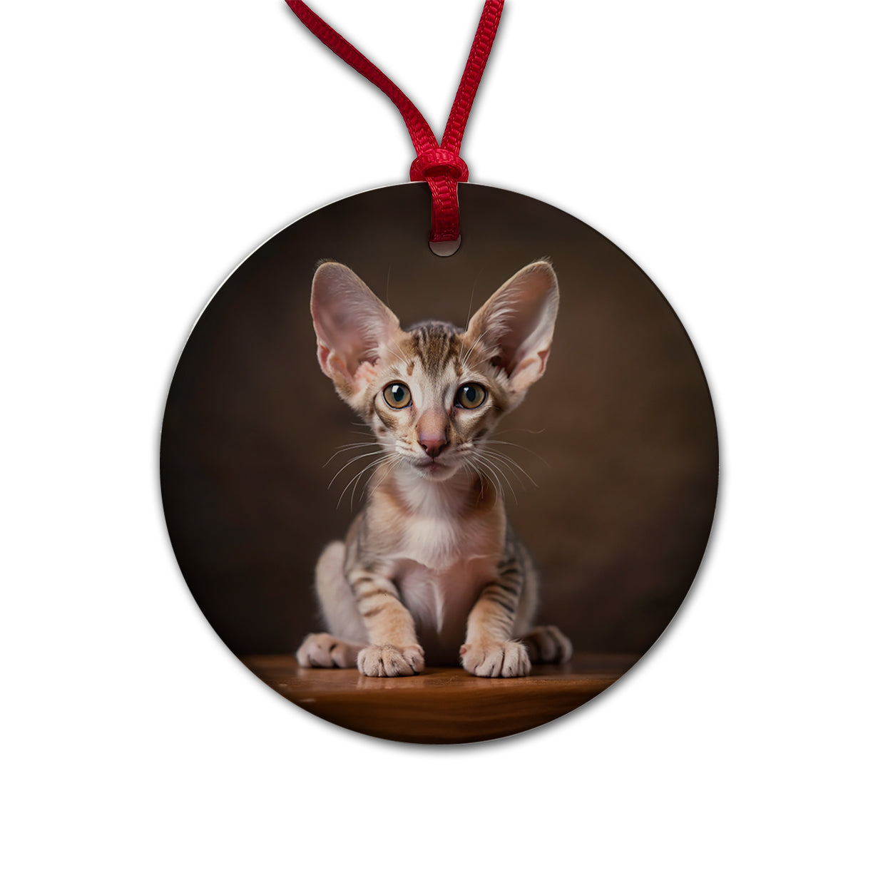 Oriental Shorthair Cat Kitten Photo Round Ceramic Holiday Christmas Tree Ornament