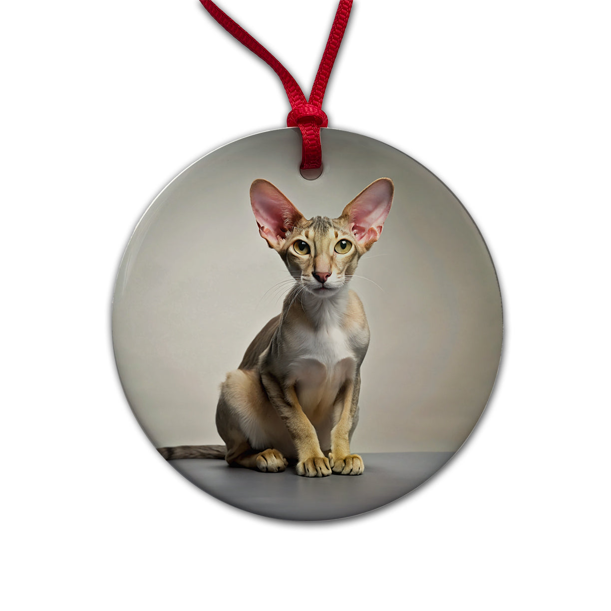 Oriental Shorthair Cat Photo Round Ceramic Holiday Christmas Tree Ornament