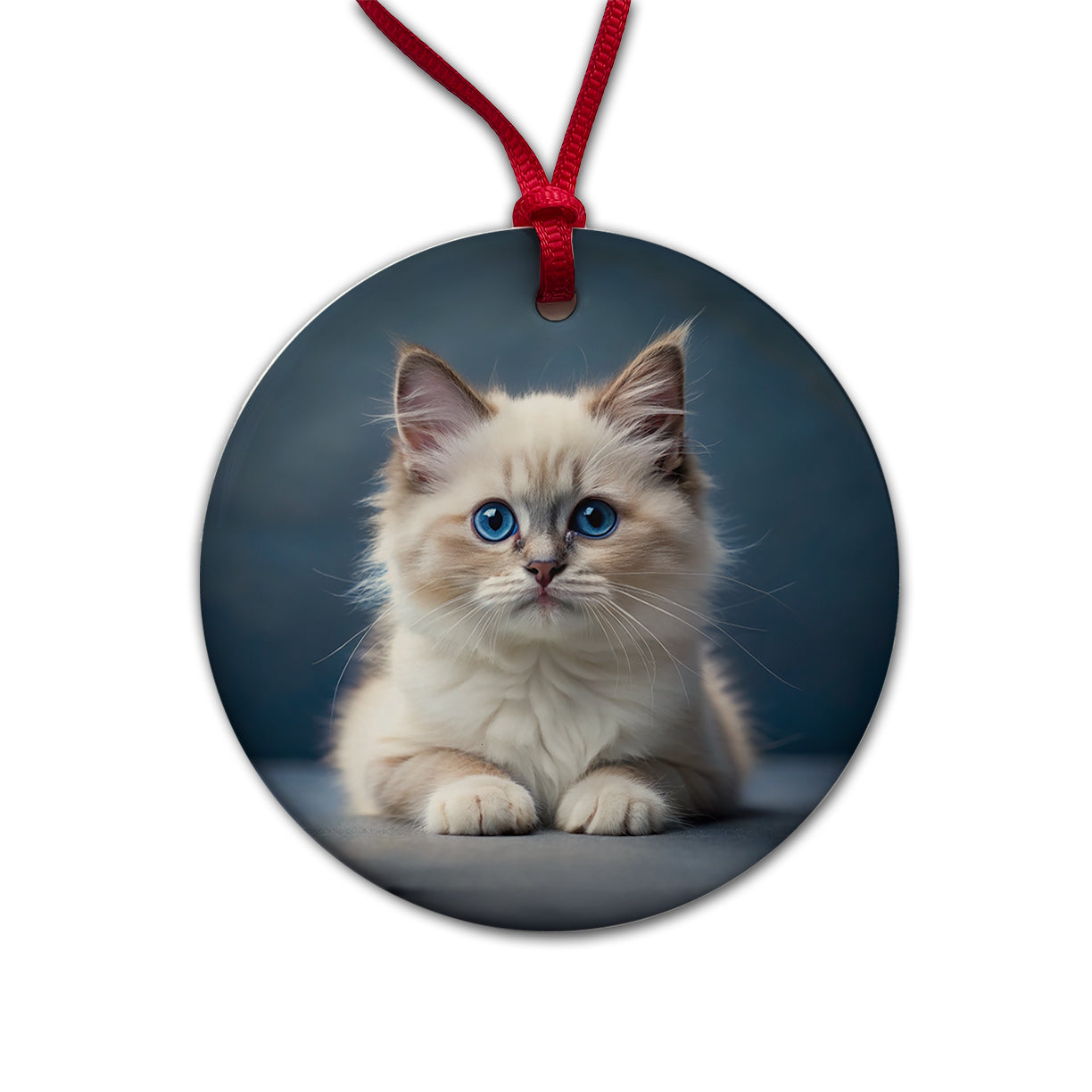 Ragdoll Cat Kitten Photo Round Ceramic Holiday Christmas Tree Ornament