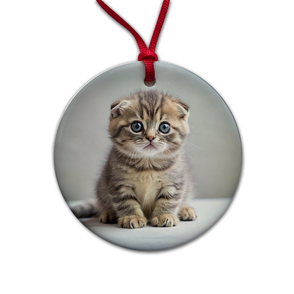 Scottish Fold Cat Kitten Photo Round Ceramic Holiday Christmas Tree Ornament
