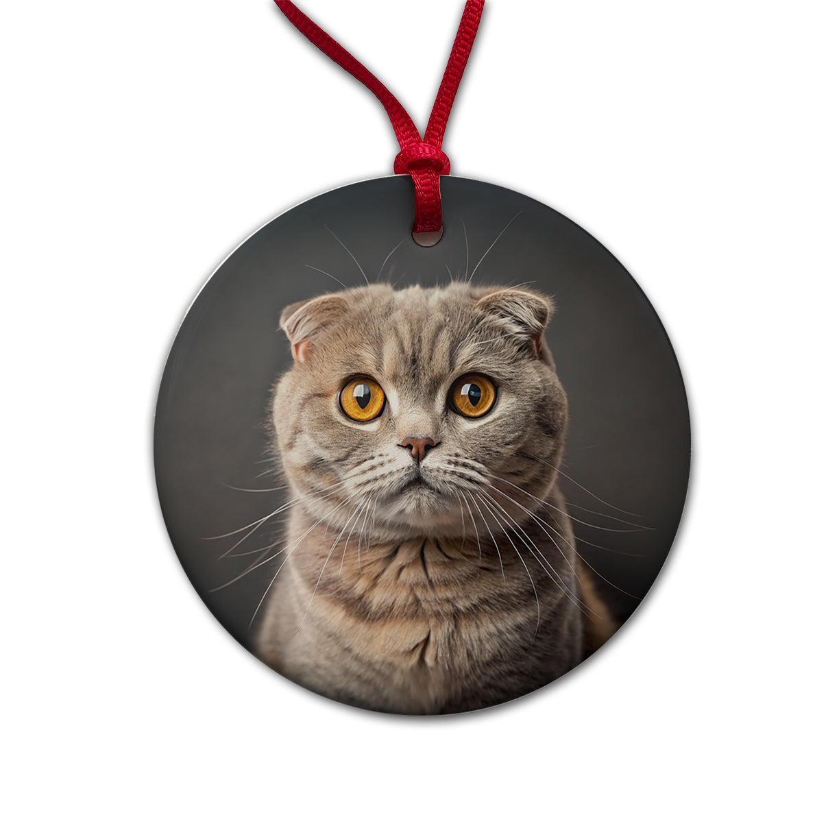 Scottish Fold Cat Photo Round Ceramic Holiday Christmas Tree Ornament