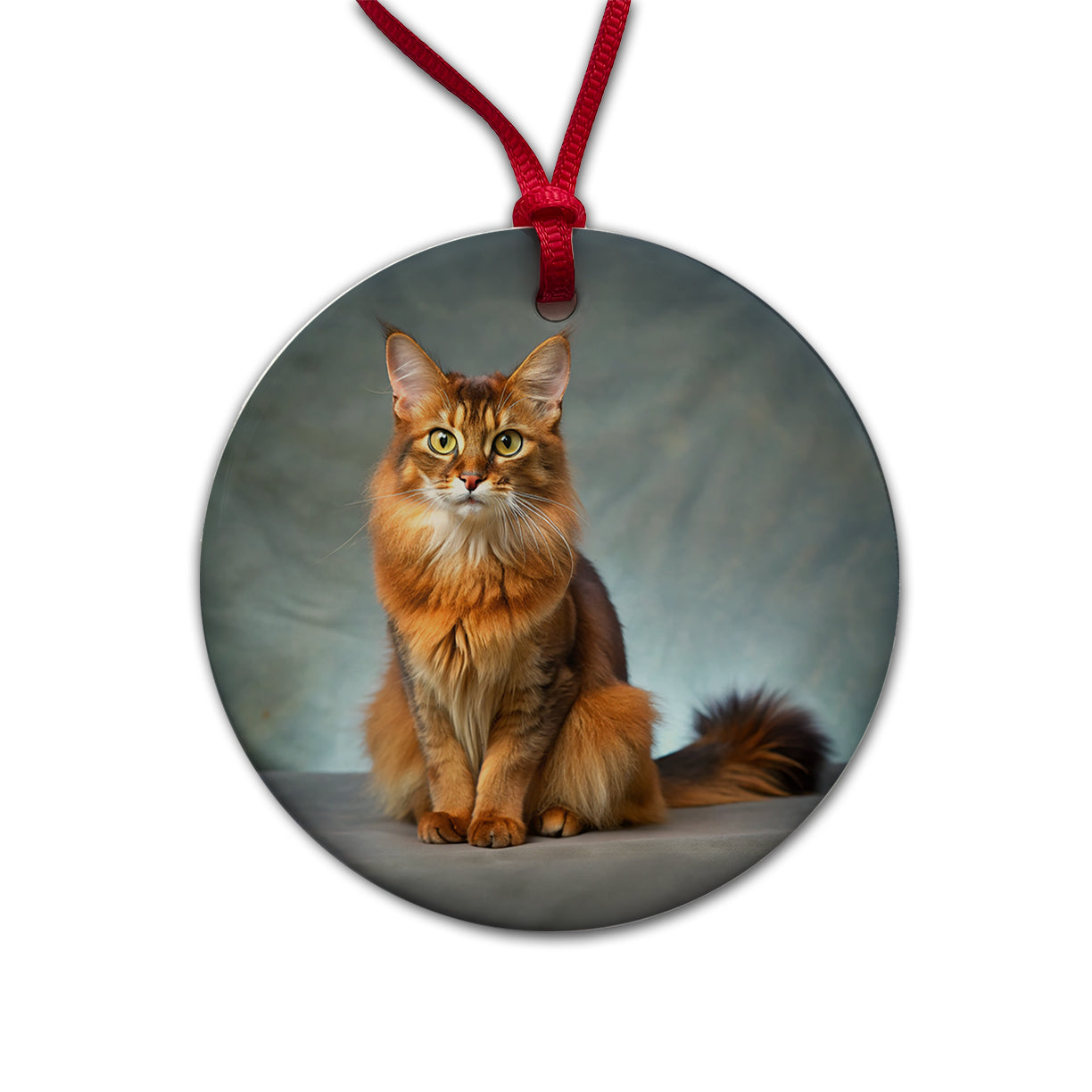 Somali Cat Kitten Photo Round Ceramic Holiday Christmas Tree Ornament