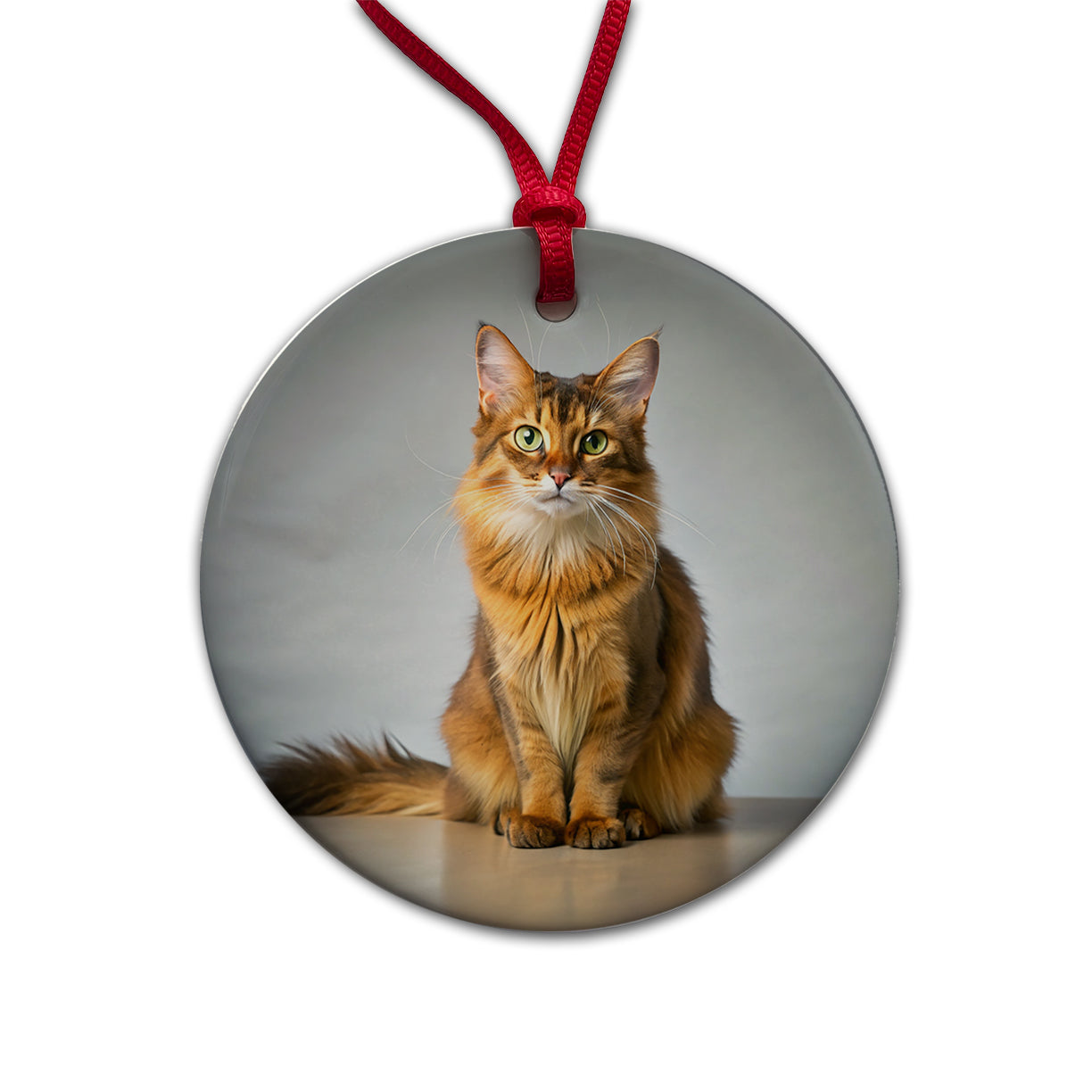Somali Cat Photo Round Ceramic Holiday Christmas Tree Ornament