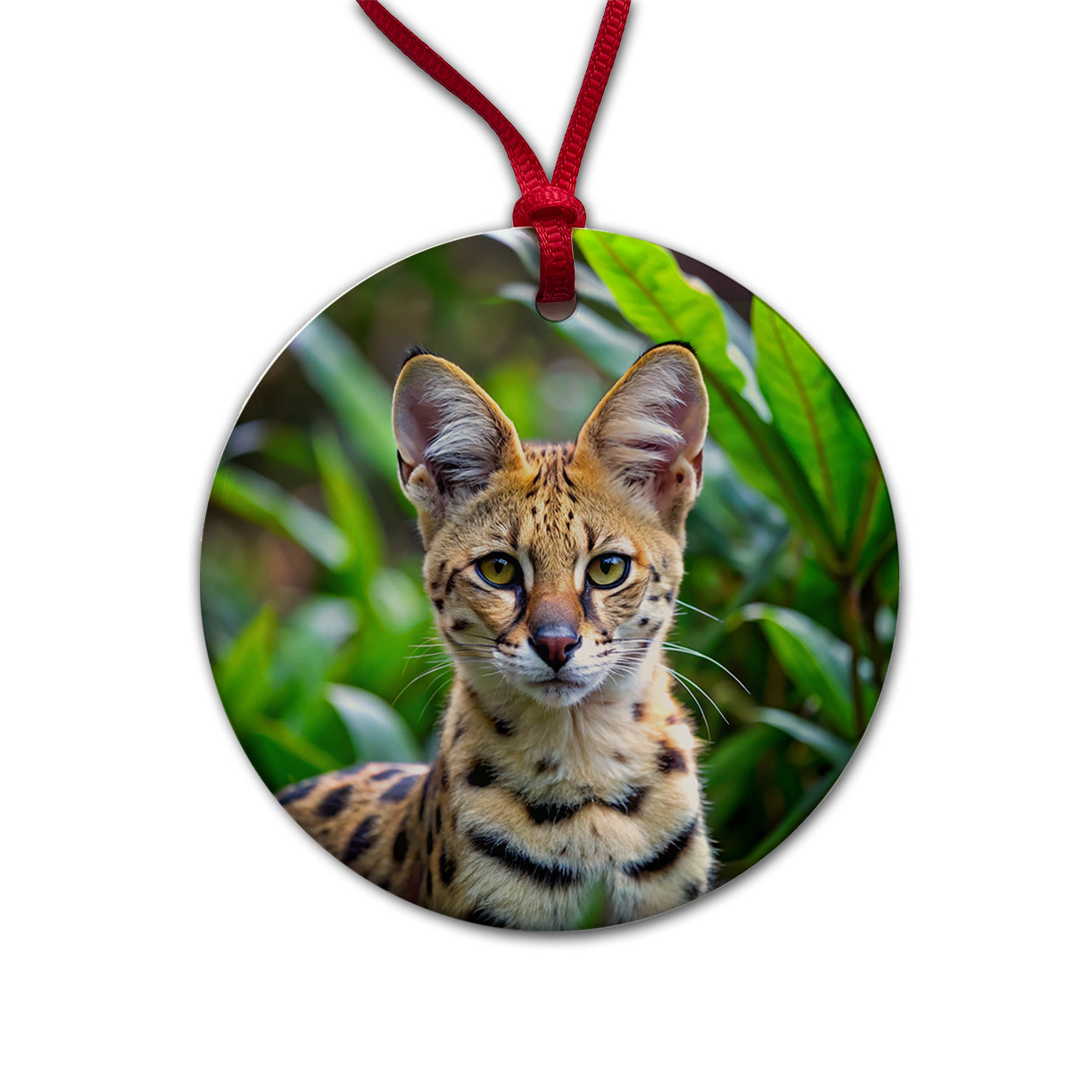 Serval Wild Cat Photo Round Ceramic Holiday Christmas Tree Ornament