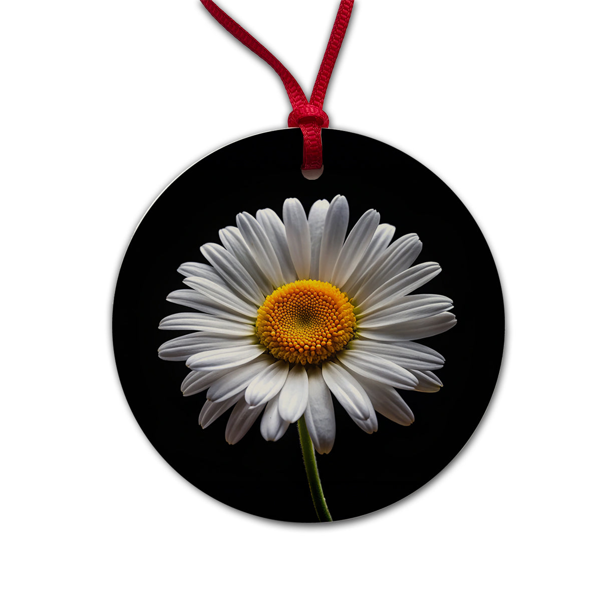 White Daisy Flower Photo Round Ceramic Holiday Christmas Tree Ornament