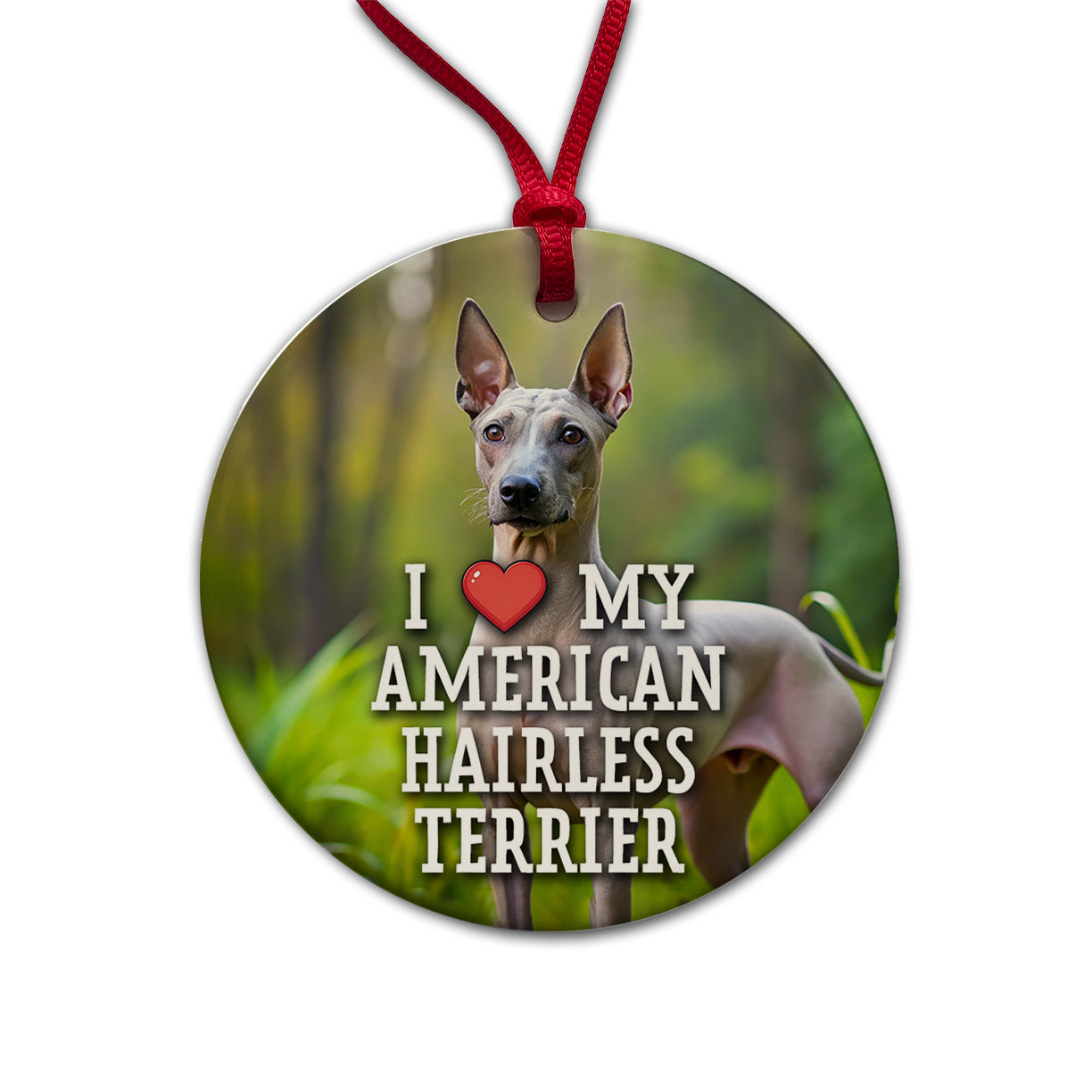 I Love My American Hairless Terrier Dog Heart Round Ceramic Holiday Christmas Tree Ornament