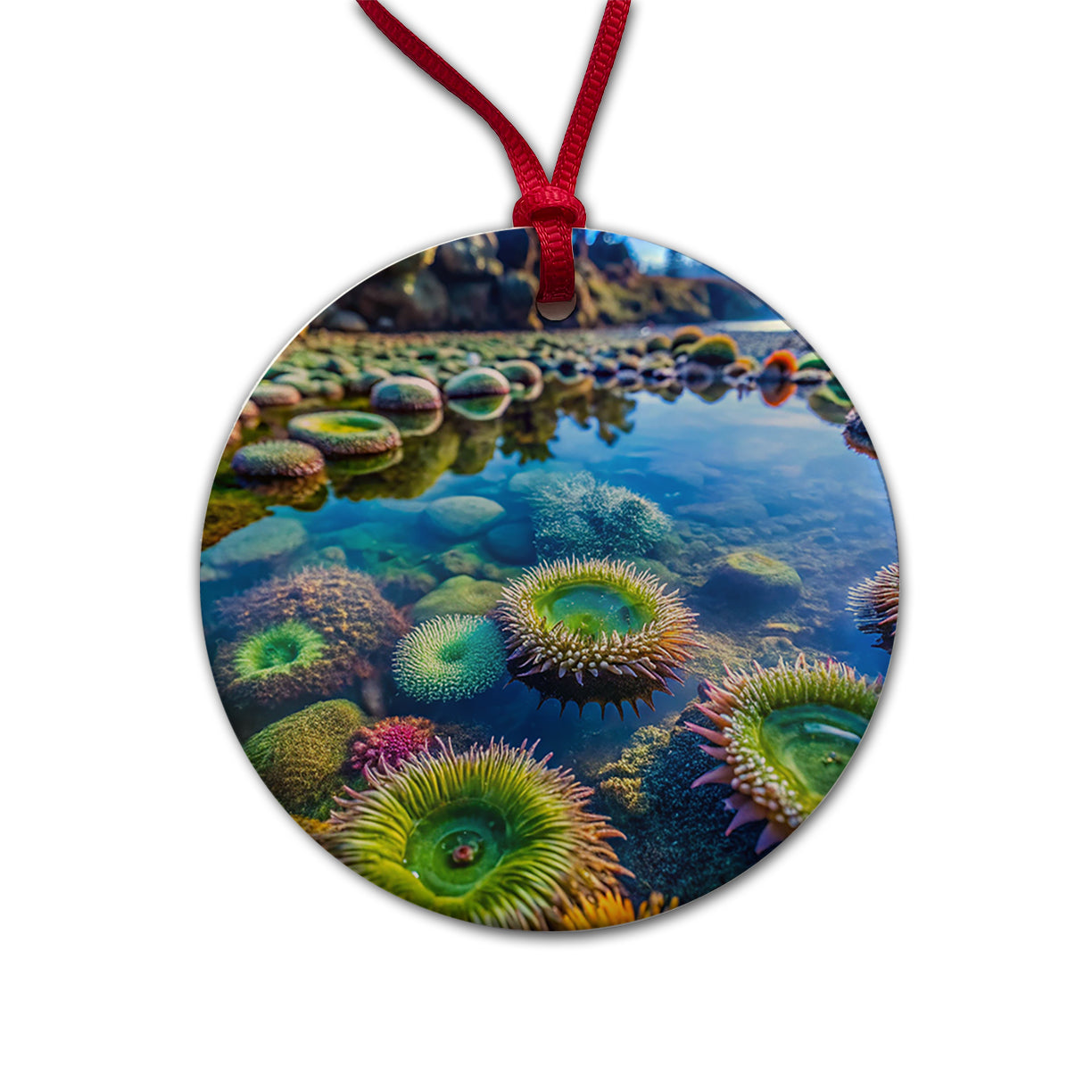 Colorful Ocean Beach Tide Pool Round Ceramic Holiday Christmas Tree Ornament