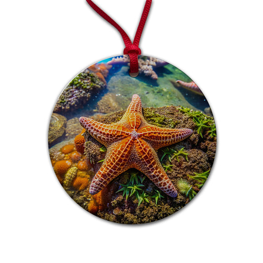 Starfish In Tide Pool Round Ceramic Holiday Christmas Tree Ornament