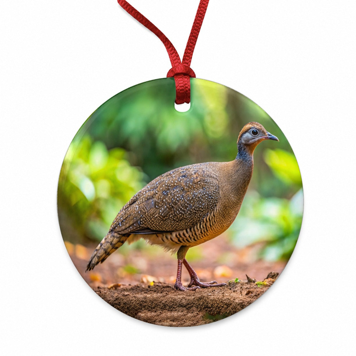 Tinamou Bird Photo Round Ceramic Holiday Christmas Tree Ornament
