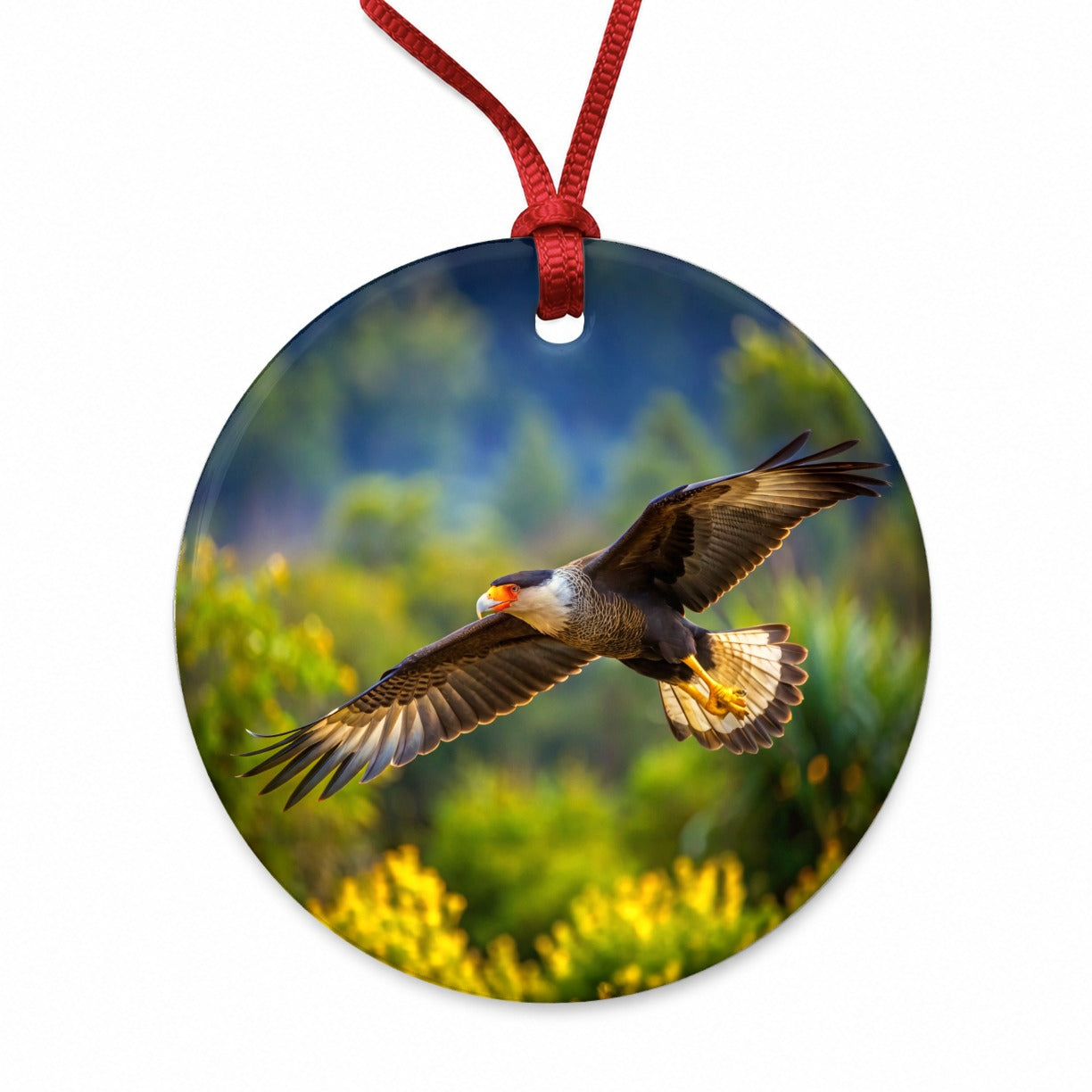 Caracara Raptor in Flight Round Ceramic Holiday Christmas Tree Ornament