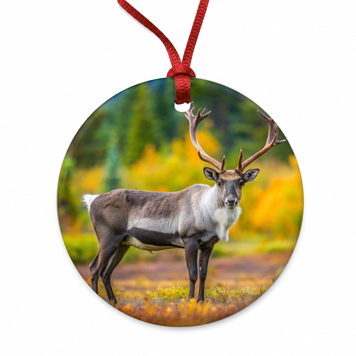 Caribou Deer Reindeer Photo Round Ceramic Holiday Christmas Tree Ornament