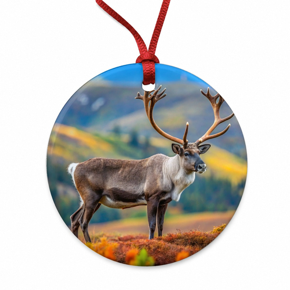 Caribou Reindeer Photo Round Ceramic Holiday Christmas Tree Ornament