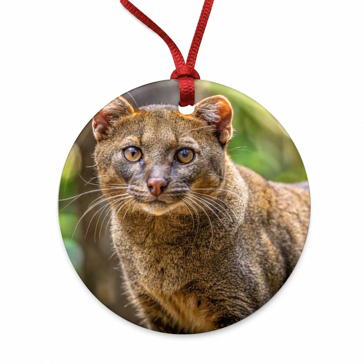 Jaguarundi Otter Cat Photo Round Ceramic Holiday Christmas Tree Ornament