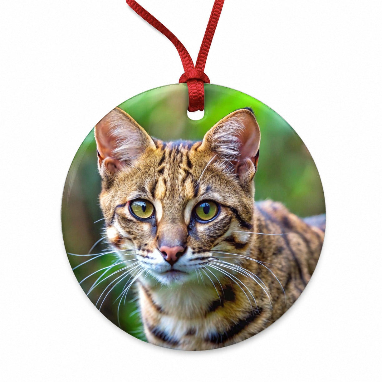 Kodkod Wild Cat Photo Round Ceramic Holiday Christmas Tree Ornament