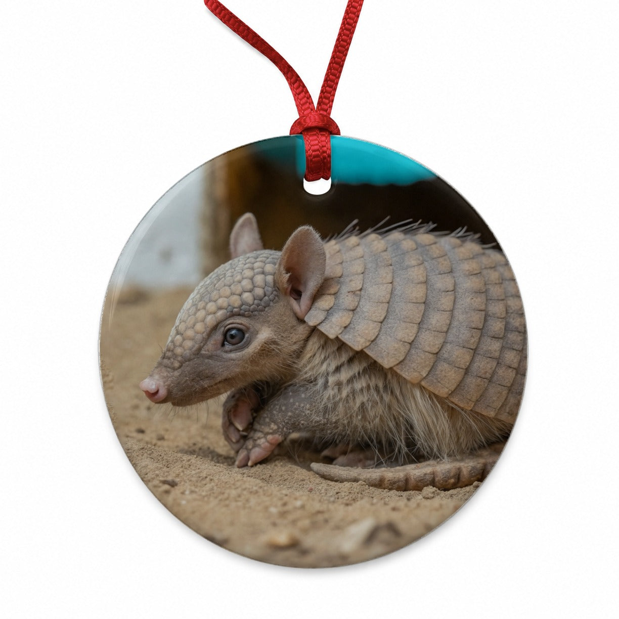 Armadillo Close Up Round Ceramic Holiday Christmas Tree Ornament