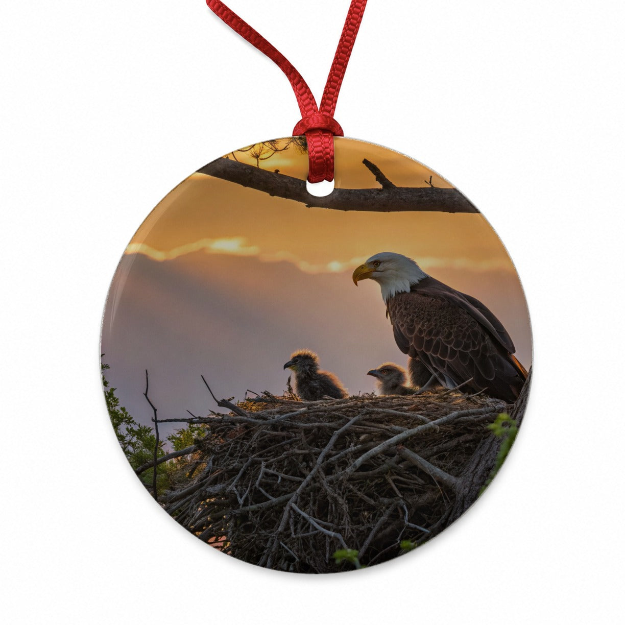 Bald Eagle Babies In Nest Sunset Round Ceramic Holiday Christmas Tree Ornament