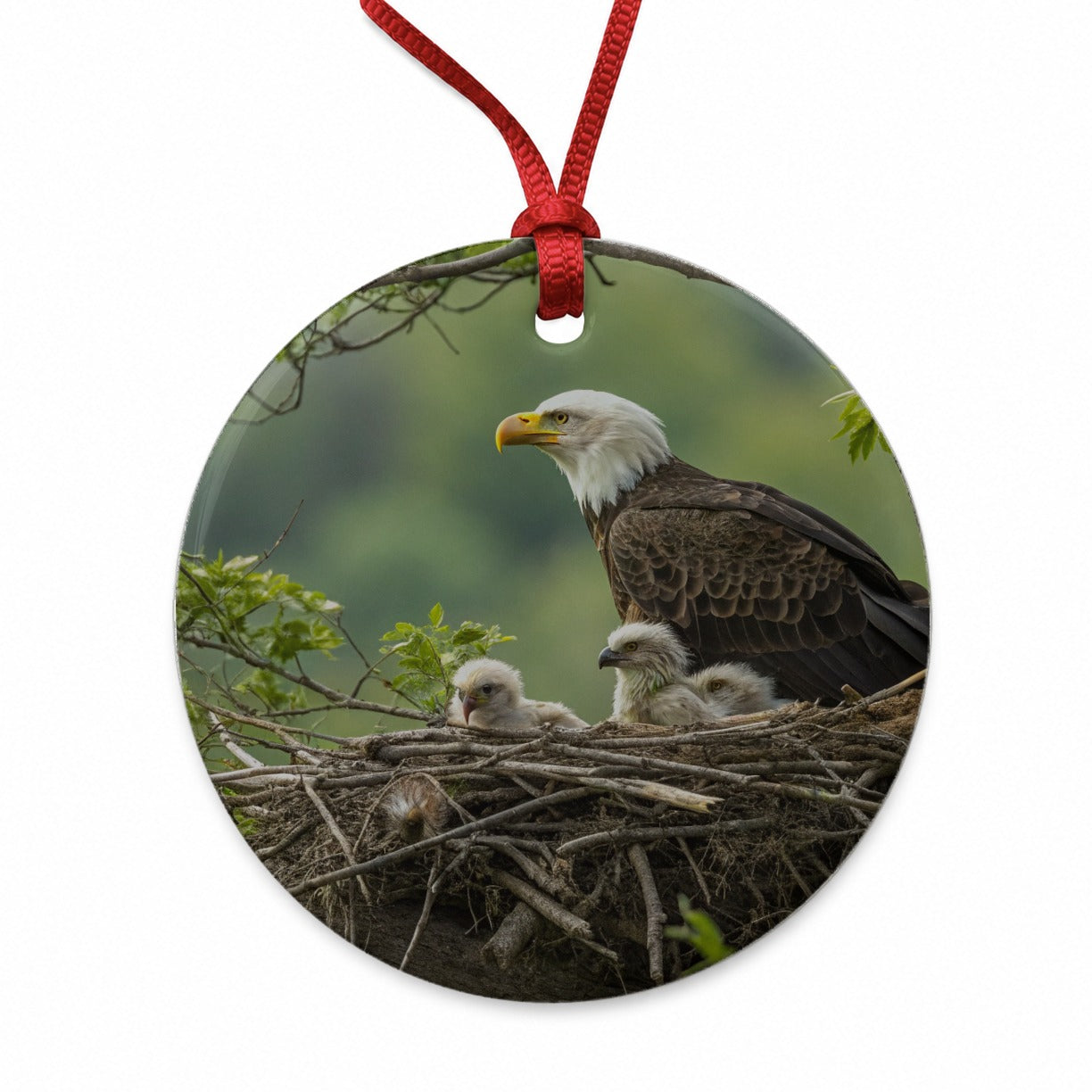 Bald Eagle Babies In Nest Round Ceramic Holiday Christmas Tree Ornament