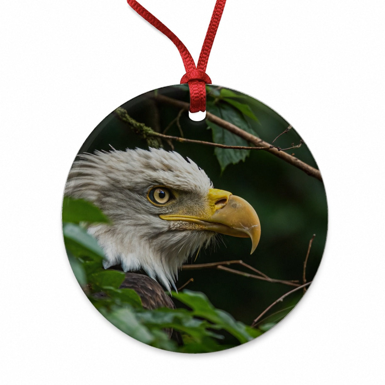 Bald Eagle Wildlife Portrait Round Ceramic Holiday Christmas Tree Ornament
