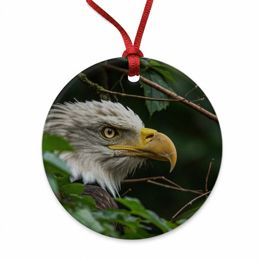 Bald Eagle Wildlife Portrait Round Ceramic Holiday Christmas Tree Ornament