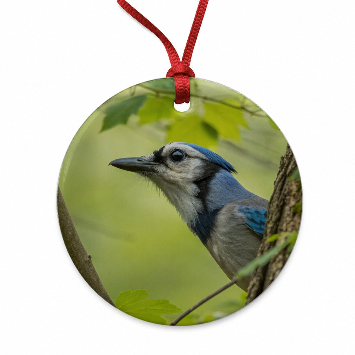 Blue Jay Bird Wildlife Round Ceramic Holiday Christmas Tree Ornament