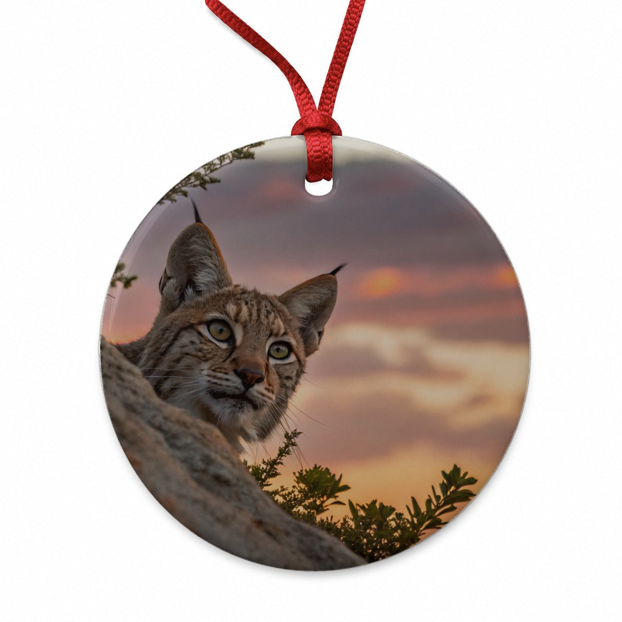 Bobcat At Sunset Round Ceramic Holiday Christmas Tree Ornament