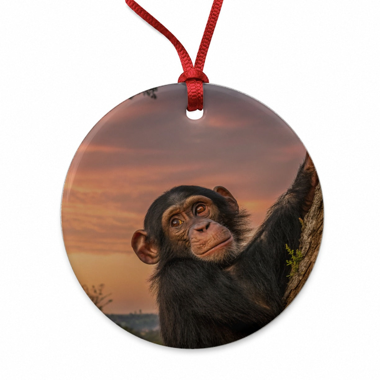 Chimpanzee Ape At Sunset Round Ceramic Holiday Christmas Tree Ornament