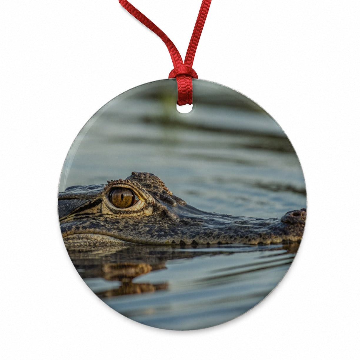Crocodile In Water Wildlife Round Ceramic Holiday Christmas Tree Ornament