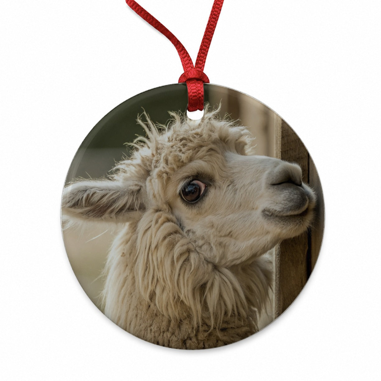 Curious Alpaca Close Up Round Ceramic Holiday Christmas Tree Ornament