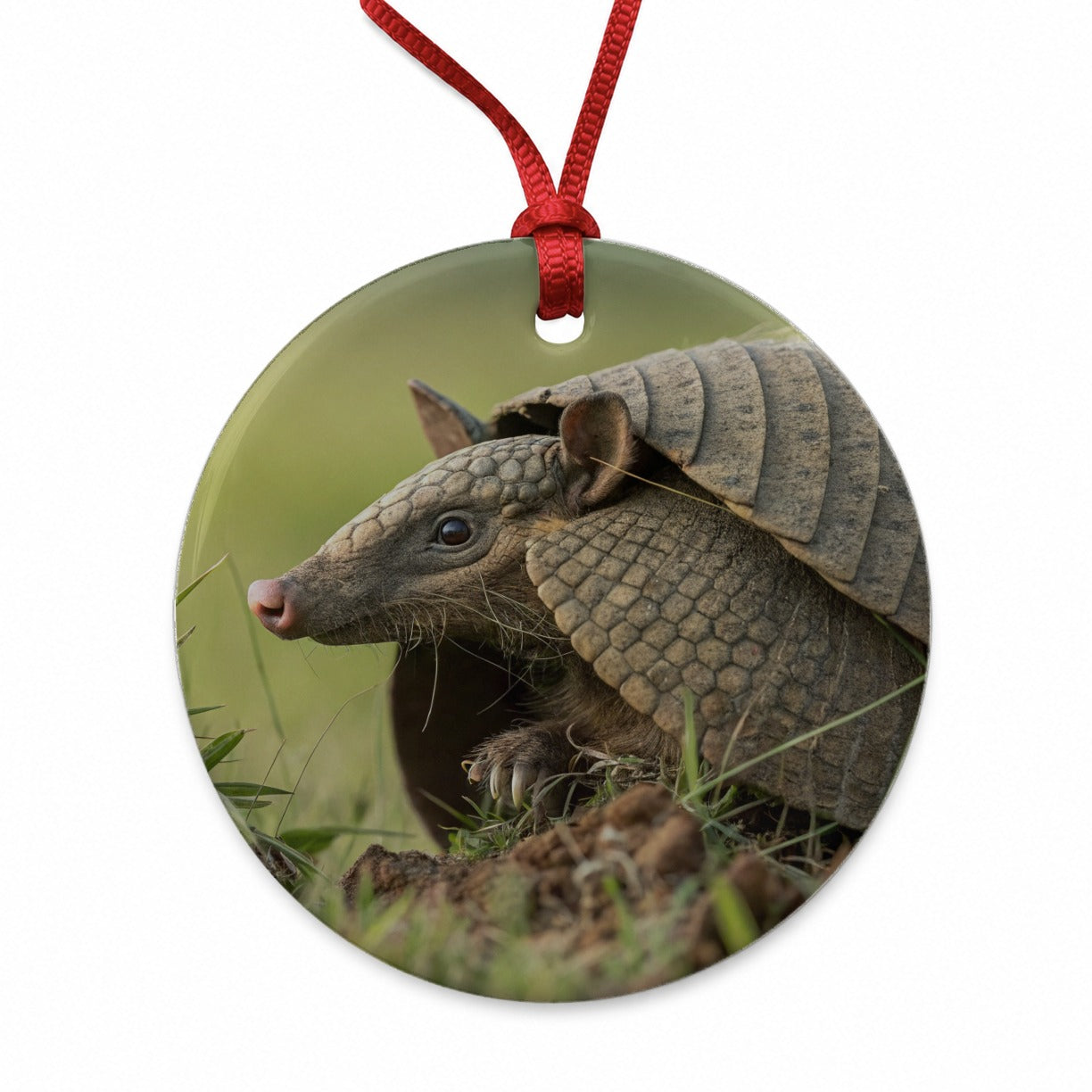 Curious Armadillo Wildlife Nature Round Ceramic Holiday Christmas Tree Ornament