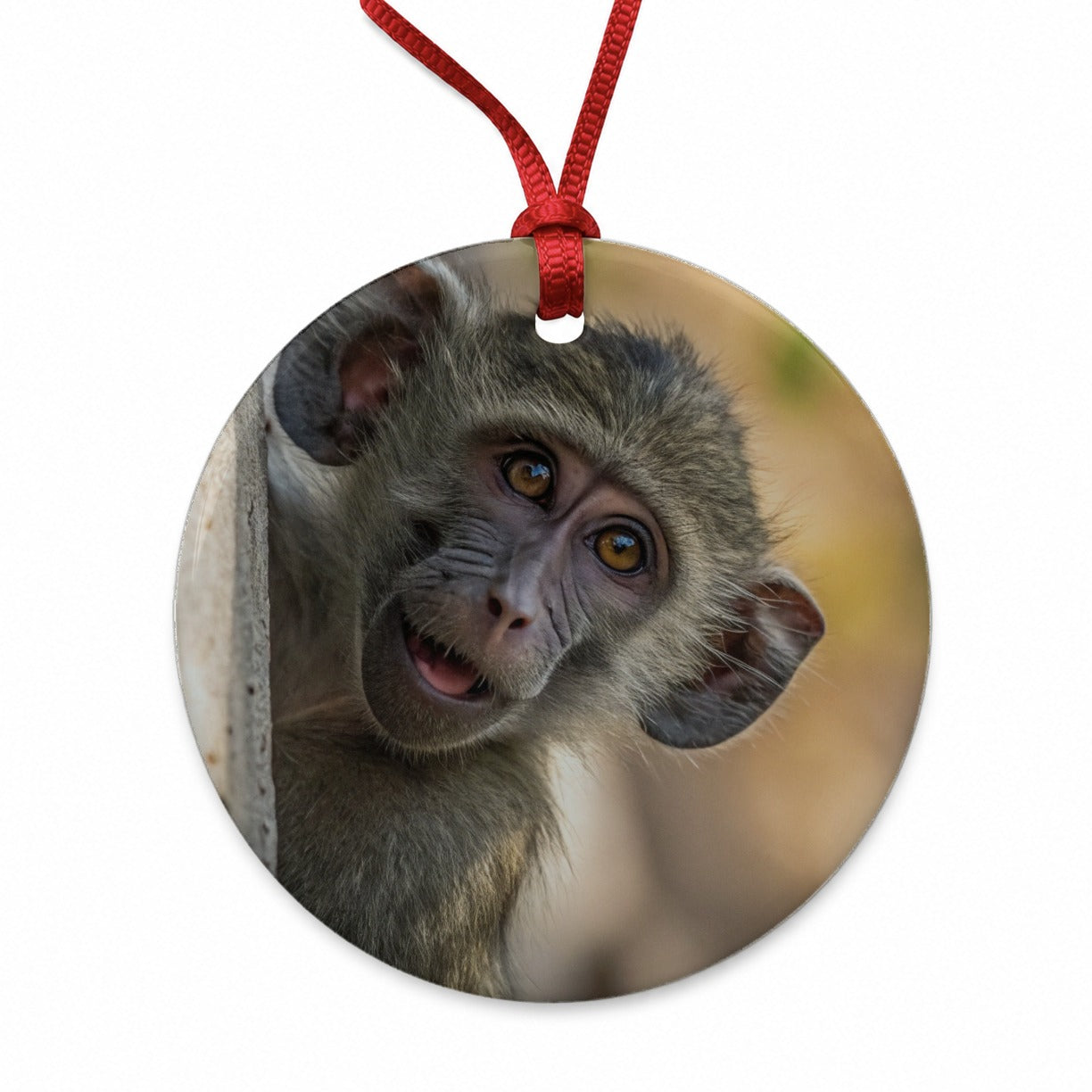Curious Baboon Wildlife Nature Round Ceramic Holiday Christmas Tree Ornament