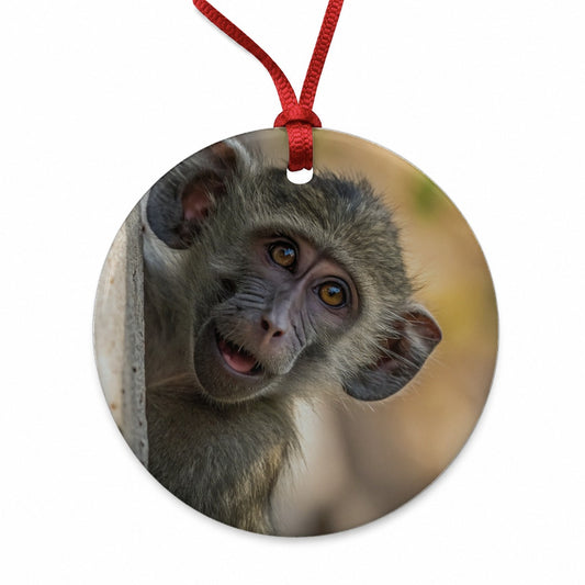 Curious Baboon Wildlife Nature Round Ceramic Holiday Christmas Tree Ornament