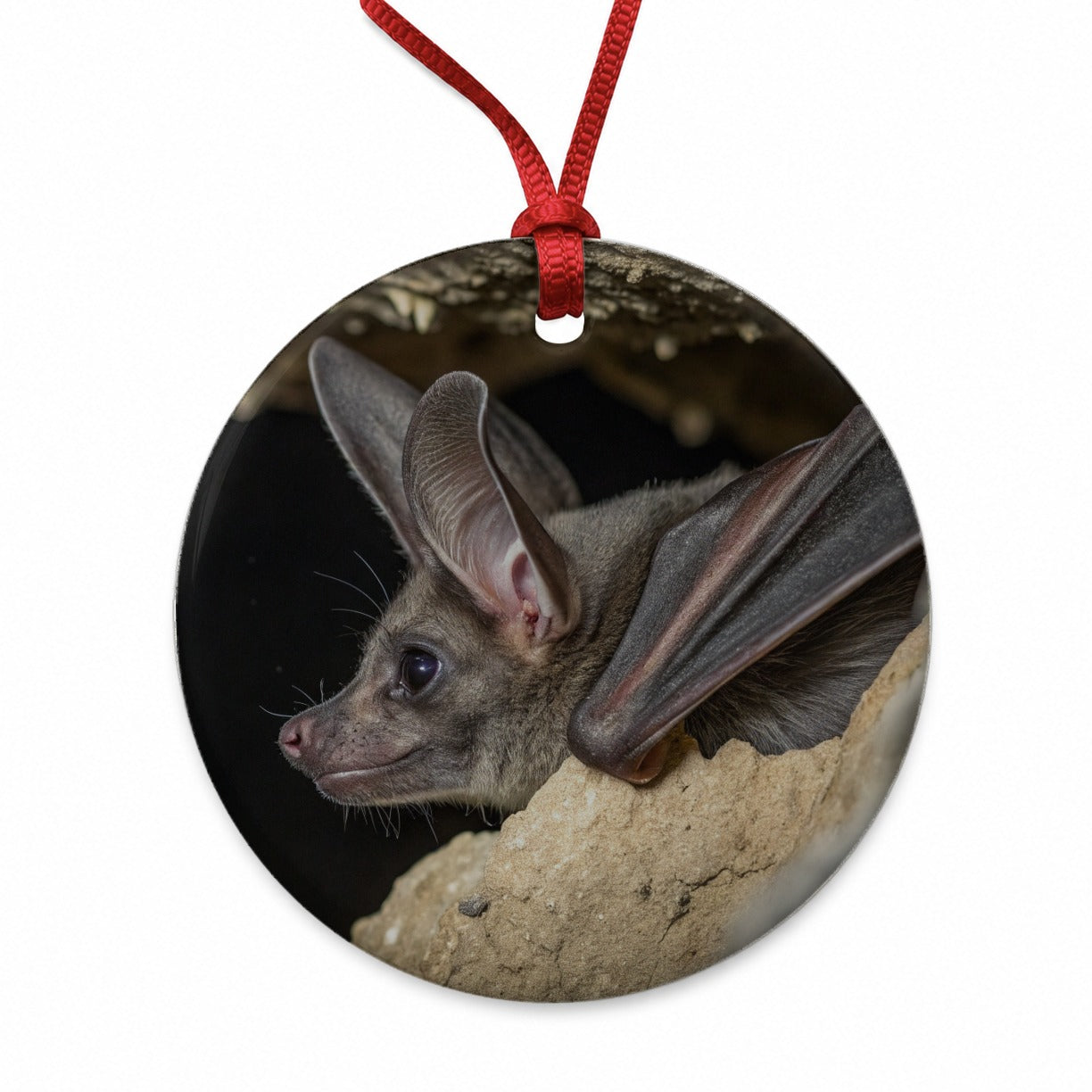 Curious Bat Cave Wildlife Round Ceramic Holiday Christmas Tree Ornament