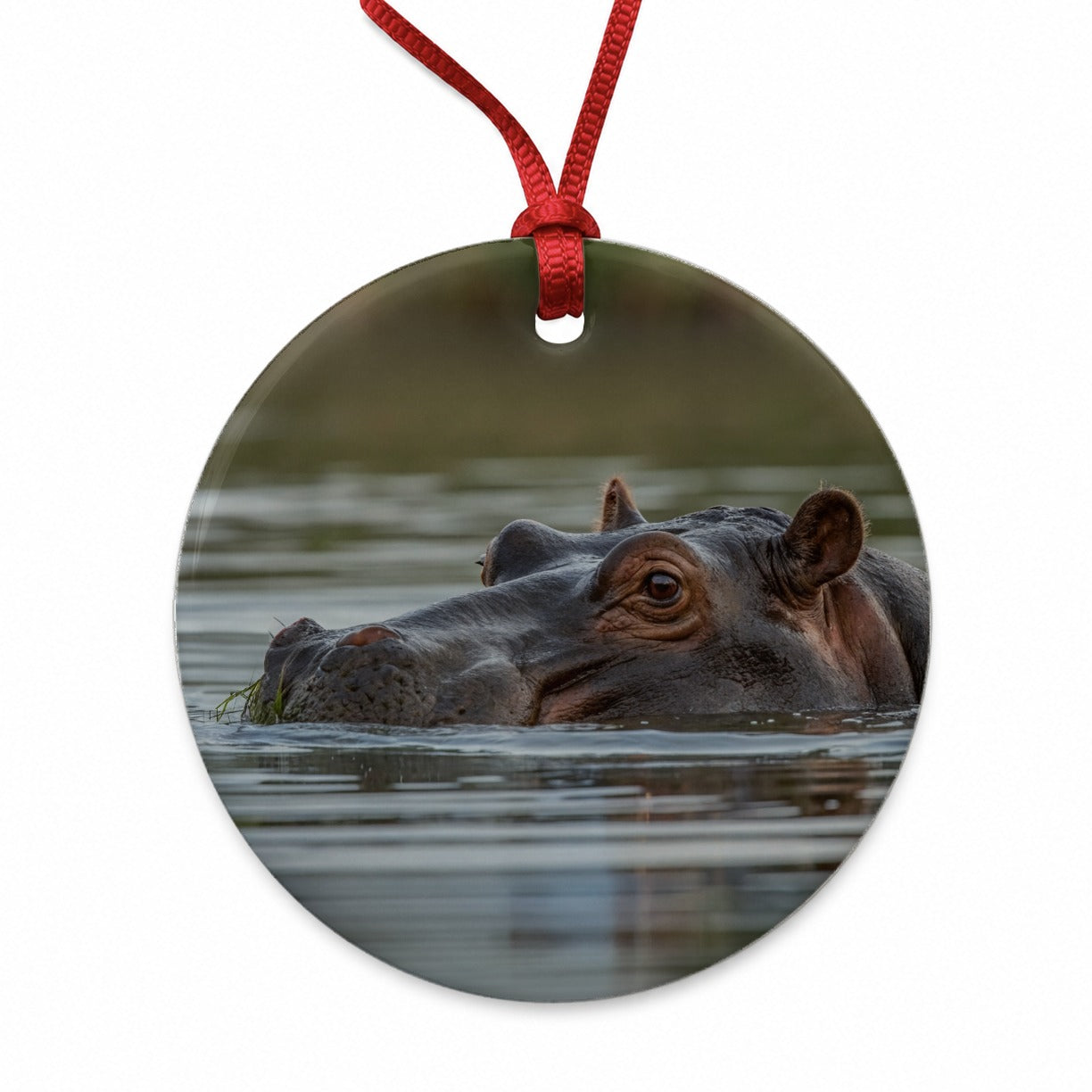 Hippo River Safari Wildlife Africa Round Ceramic Holiday Christmas Tree Ornament