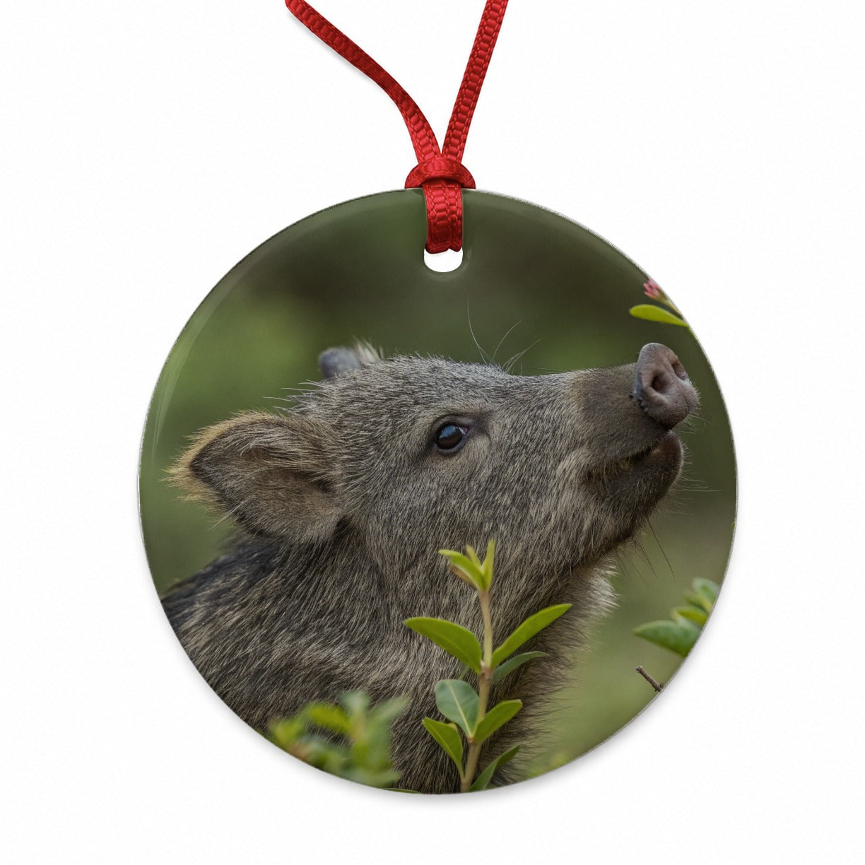 Javelina Woodland Round Ceramic Holiday Christmas Tree Ornament