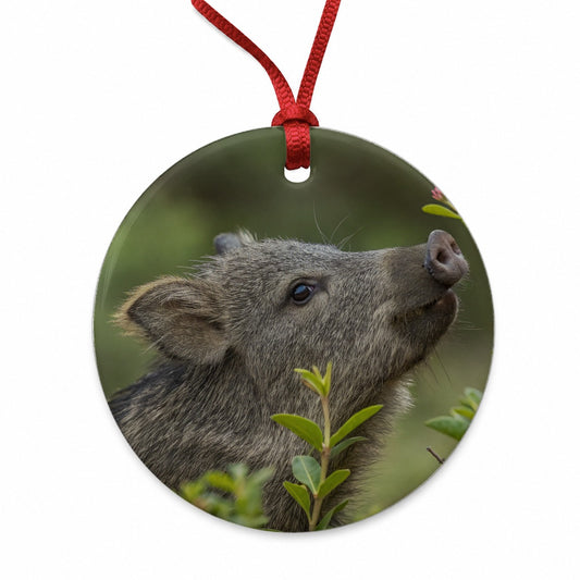 Javelina Woodland Round Ceramic Holiday Christmas Tree Ornament