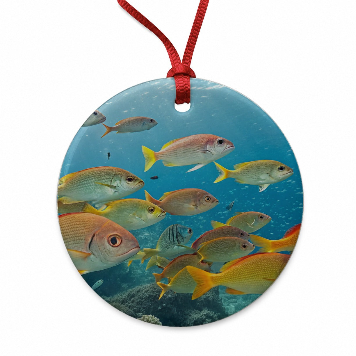 School of Fish Underwater Tropical Round Ceramic Holiday Christmas Tree Ornament