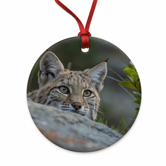 Watchful Bobcat Wildlife Nature Round Ceramic Holiday Christmas Tree Ornament