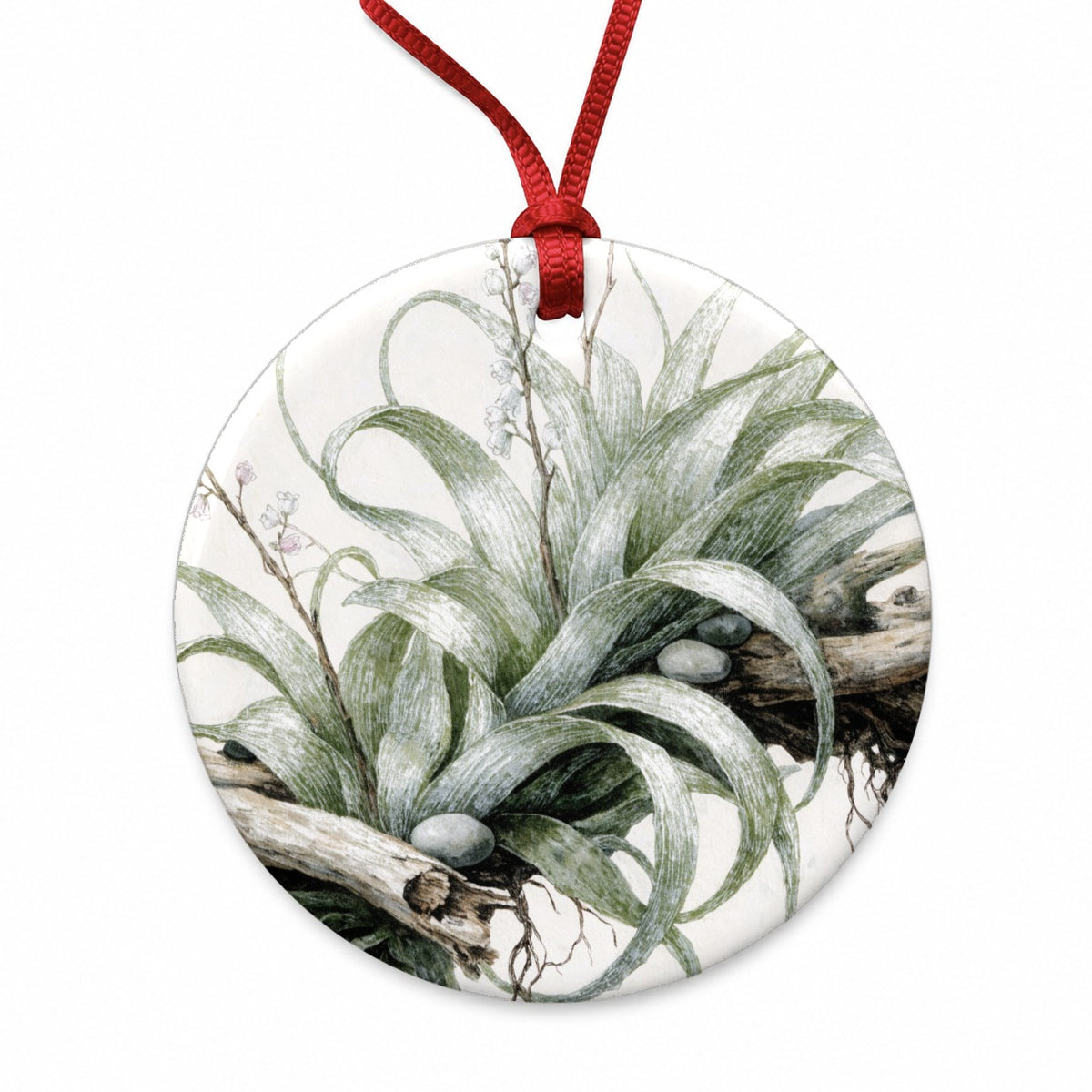 Air Plant Botanical Collection Round Ceramic Holiday Christmas Tree Ornament