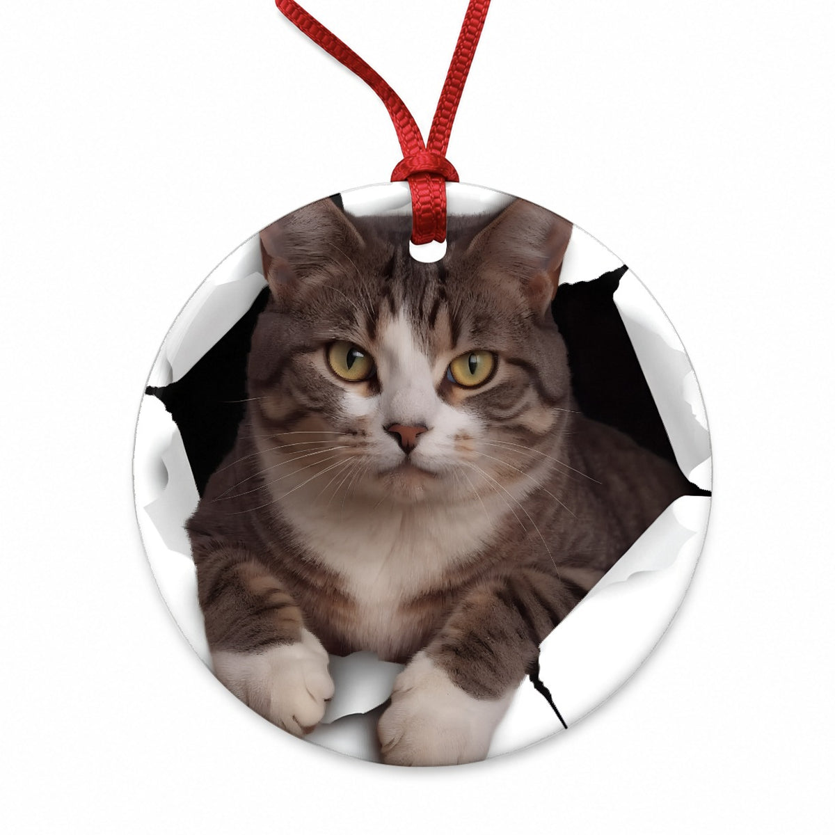 American Shorthaired Cat Breakout Round Ceramic Holiday Christmas Tree Ornament