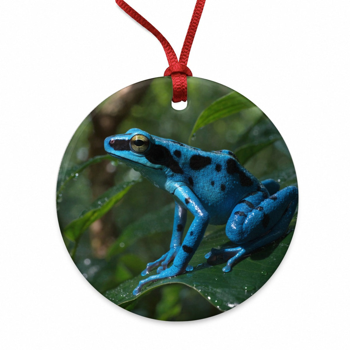 Blue Poison Dart Frog Round Ceramic Holiday Christmas Tree Ornament