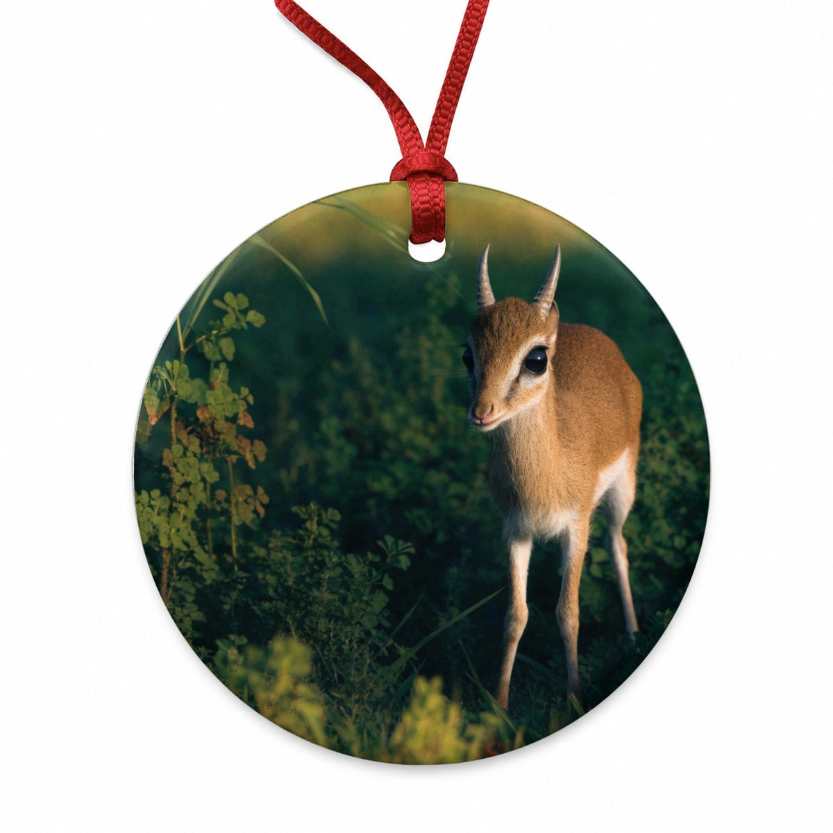 Dik-dik Antelope Round Ceramic Holiday Christmas Tree Ornament