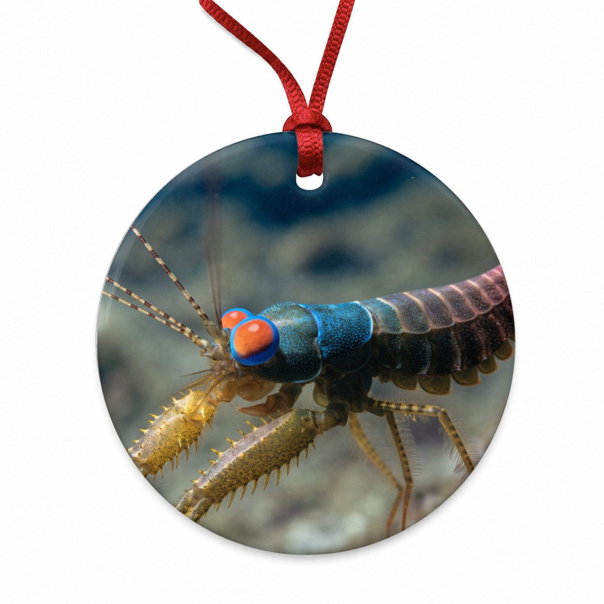 Mantis Shrimp Round Ceramic Holiday Christmas Tree Ornament