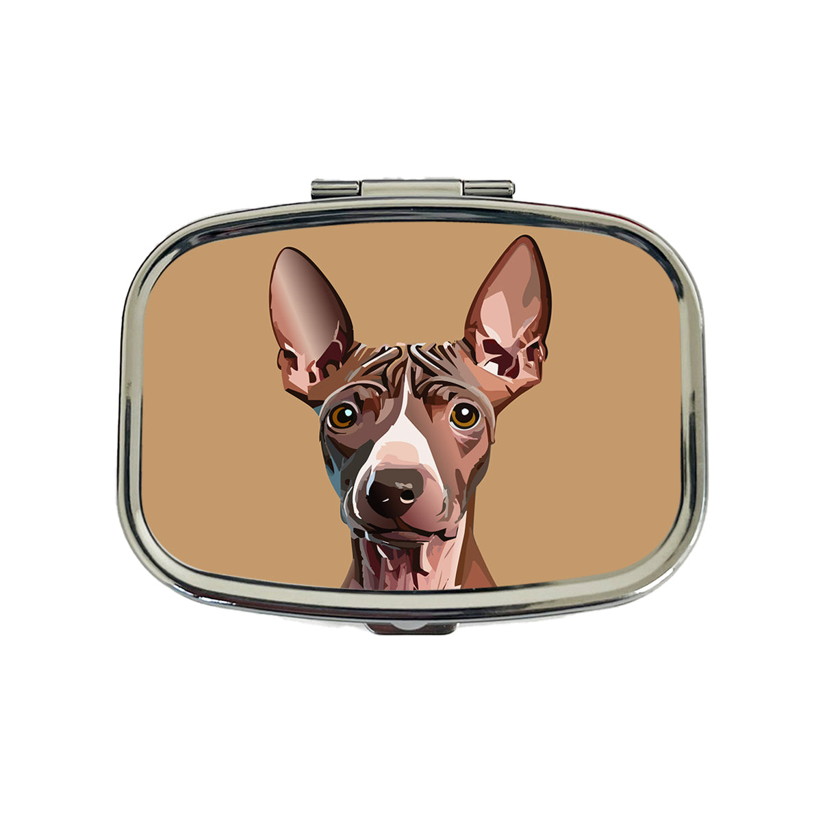American Hairless Terrier Staring Travel Pill Box Case
