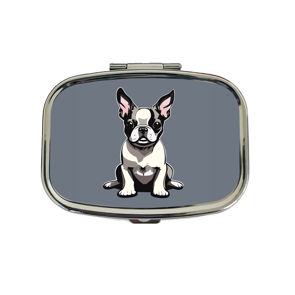 Boston Terrier Dog Sitting Travel Pill Box Case