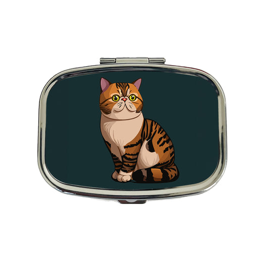 Exotic Shorthair Cat Sitting Travel Pill Box Case