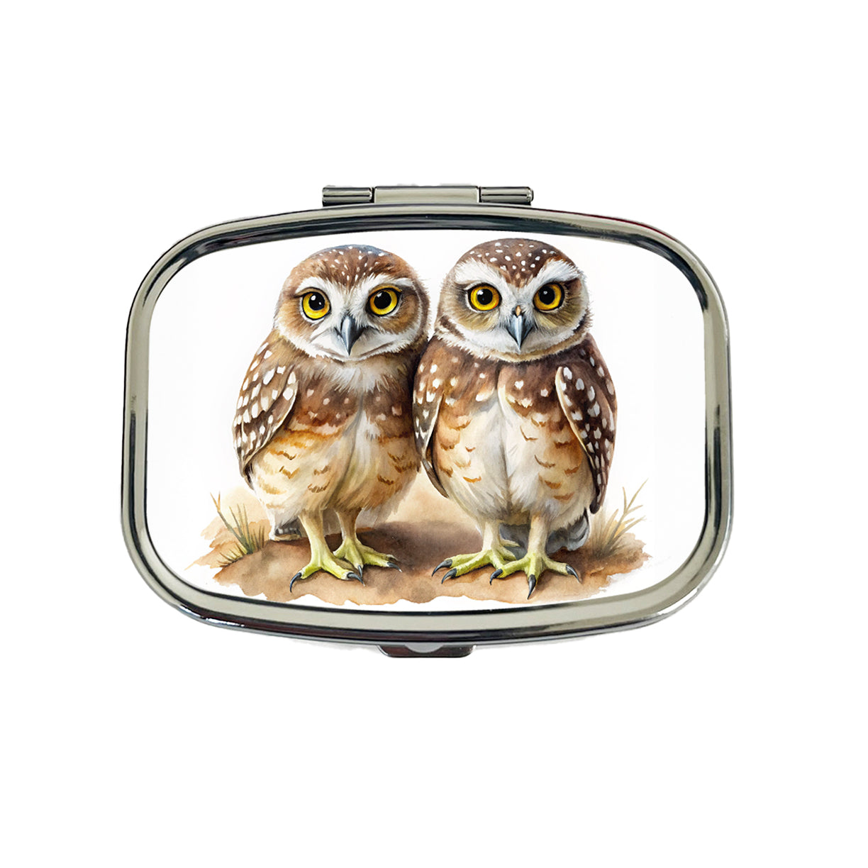 Pair Of Burrowing Owls Bird Watercolor Travel Pill Box Case