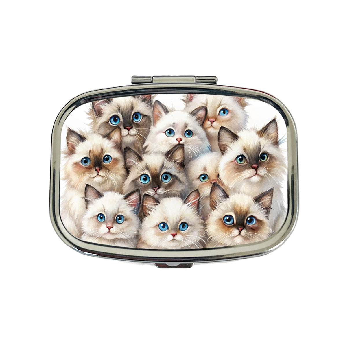 Sweet Birman Cats Travel Pill Box Case