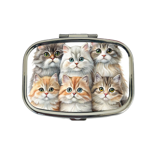 Sweet British Longhair Cats Travel Pill Box Case
