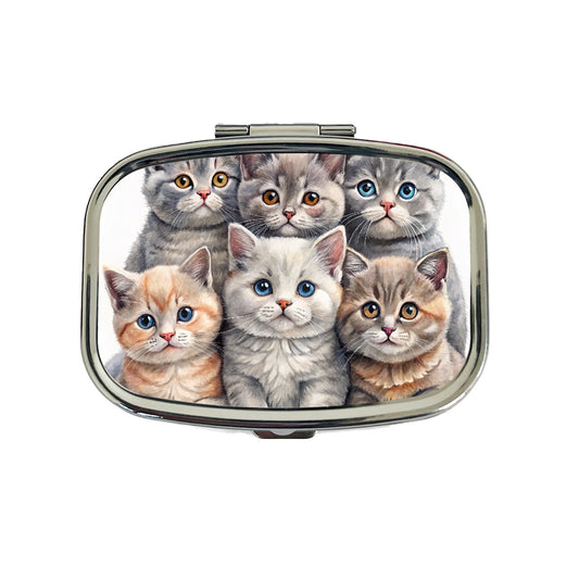 Sweet British Shorthair Cats Travel Pill Box Case